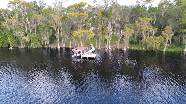 dock area with a water view