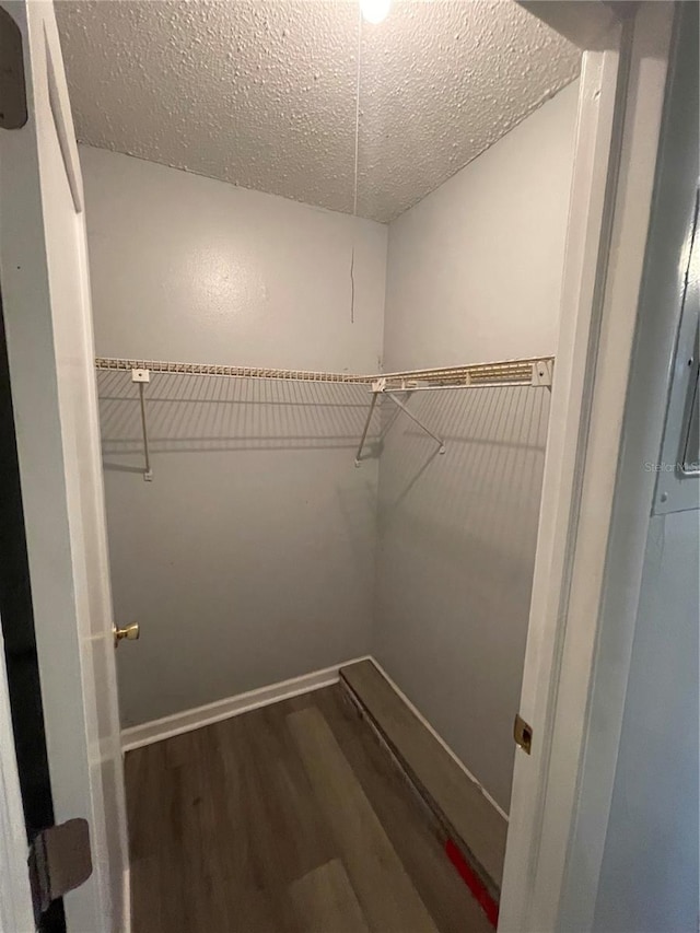 walk in closet featuring dark hardwood / wood-style floors