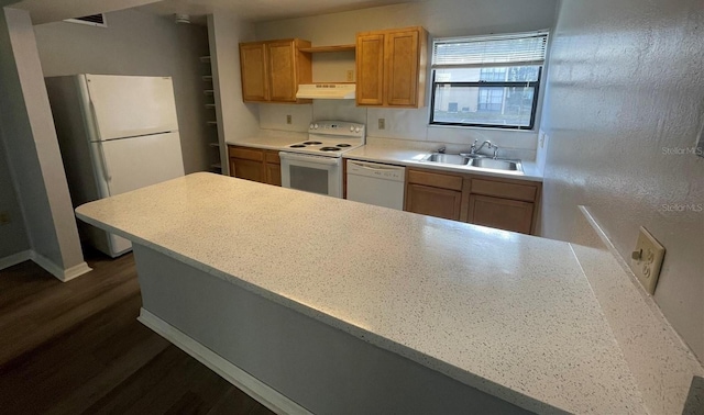 kitchen featuring sink, white appliances, and dark hardwood / wood-style flooring