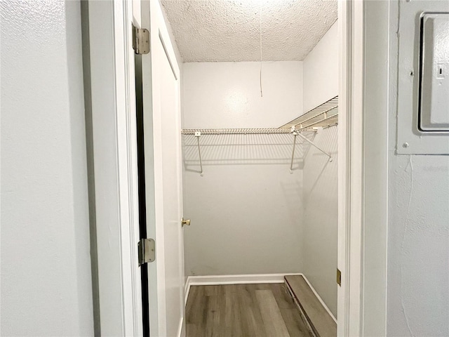 walk in closet with hardwood / wood-style floors