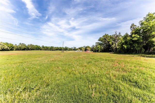 view of yard featuring a rural view