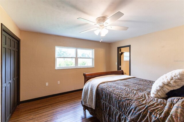 bedroom featuring a closet, hardwood / wood-style floors, and ceiling fan