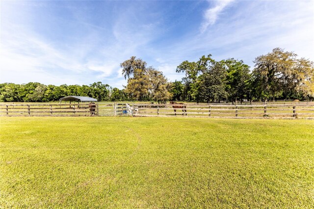 view of yard featuring a rural view