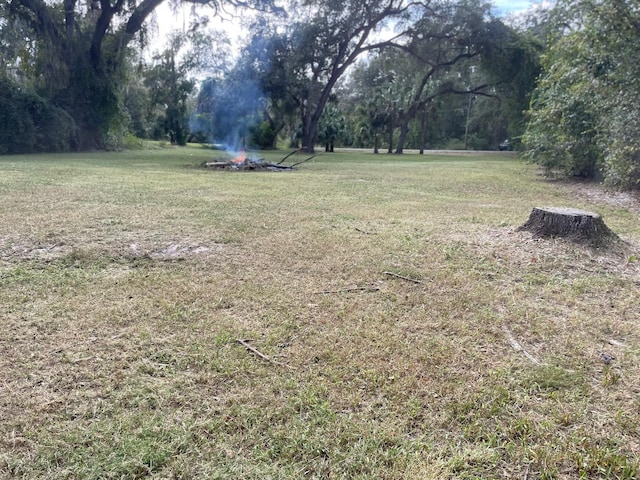 Listing photo 3 for TBD SE 106th Ave SE, Summerfield FL 34491