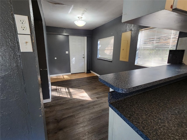 foyer entrance with electric panel and dark wood-type flooring