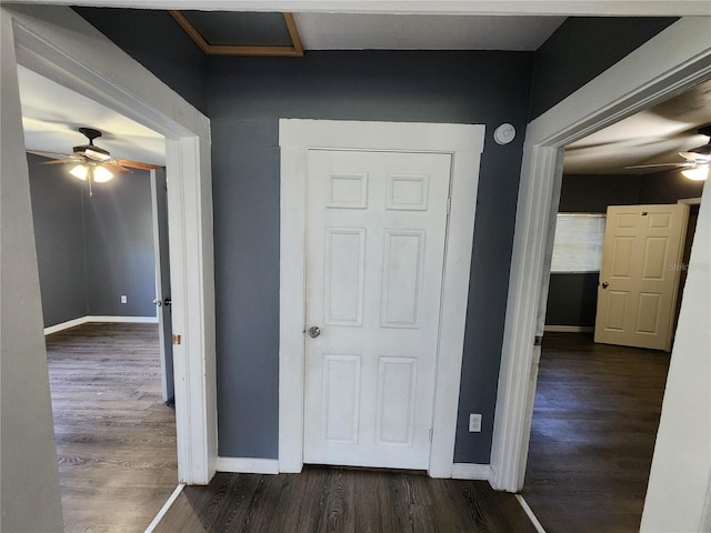 hallway with dark hardwood / wood-style floors