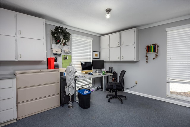 office space featuring carpet flooring