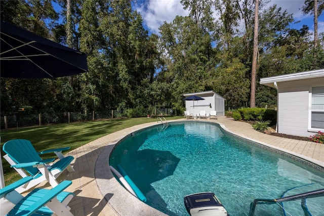 view of pool featuring a storage unit, a yard, and a patio