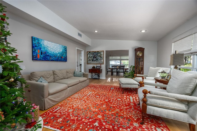 living room featuring hardwood / wood-style flooring and a healthy amount of sunlight