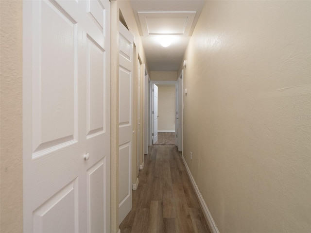 hall featuring hardwood / wood-style floors