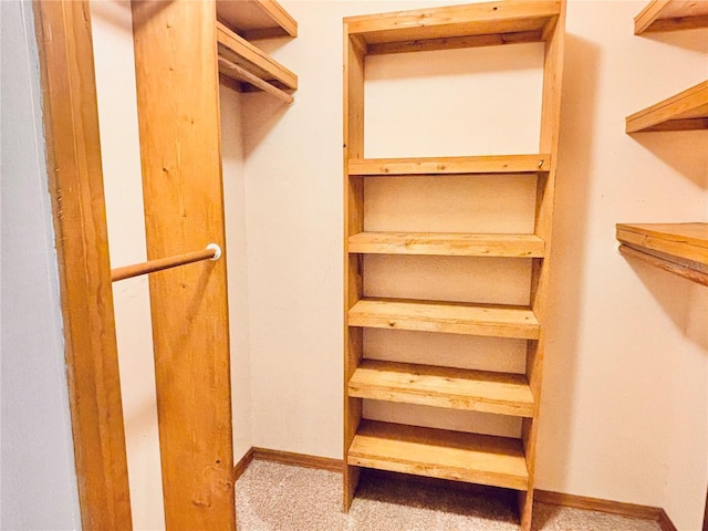 spacious closet with carpet flooring