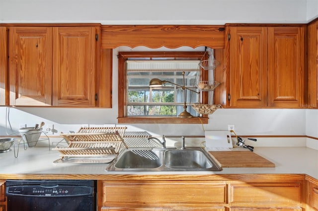 kitchen featuring dishwasher and sink