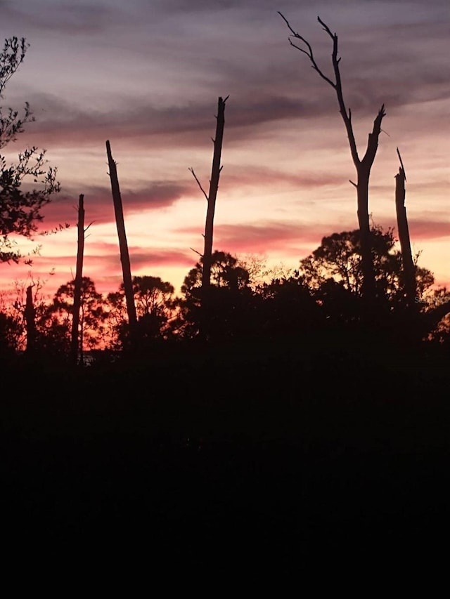 view of nature at dusk