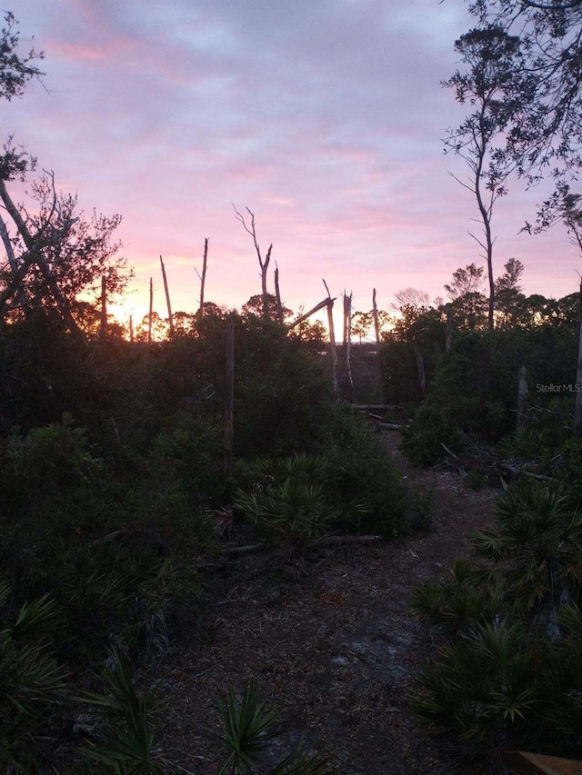 view of nature at dusk