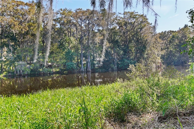 view of nature with a water view