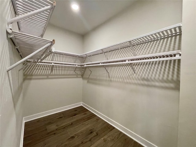840 SW 144th Dr, Newberry, FL 32669 - walk in closet featuring dark wood-style flooring