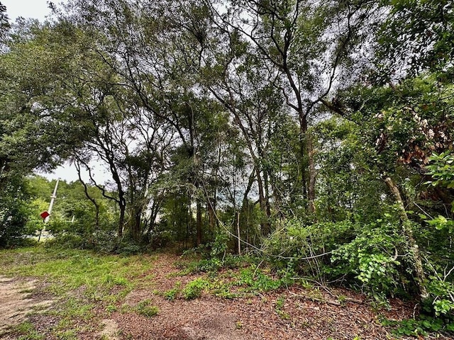 NW 76th Ter, Chiefland, FL 32626 - photo 2