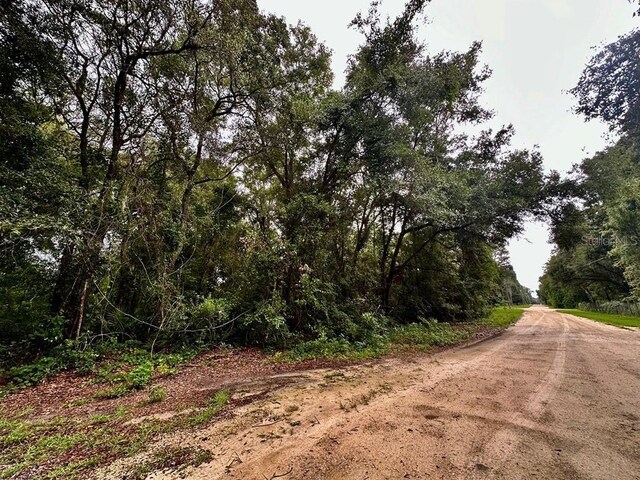 NW 76th Ter, Chiefland, FL 32626 - photo 3