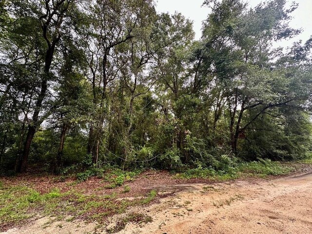 NW 76th Ter, Chiefland, FL 32626 - photo 4