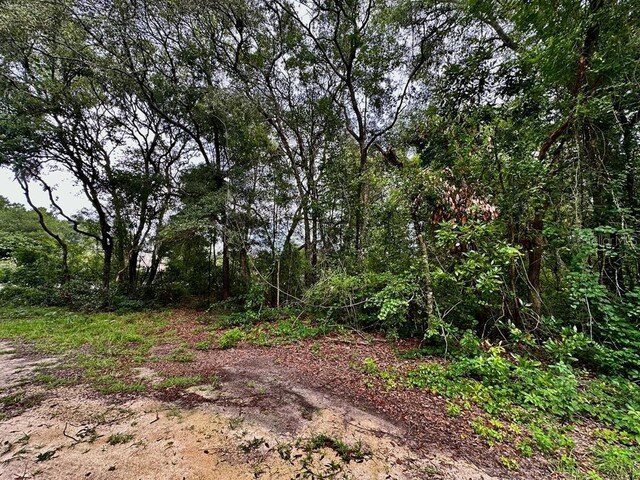 NW 76th Ter, Chiefland, FL 32626 - photo 5