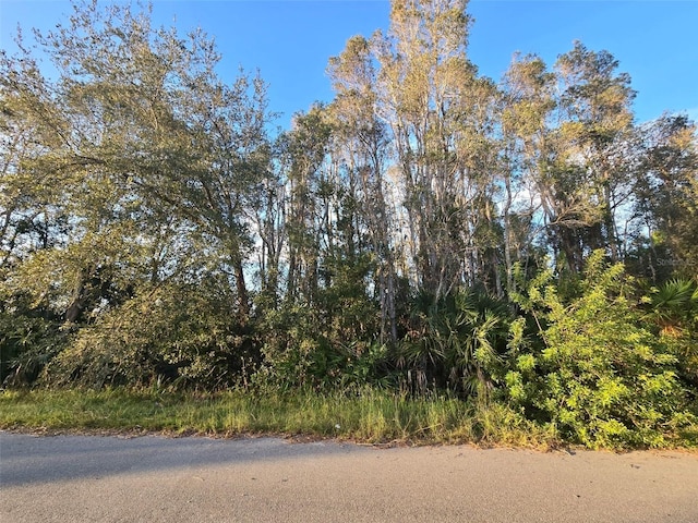 3402 39th St SW, Lehigh Acres FL, 33976 land for sale