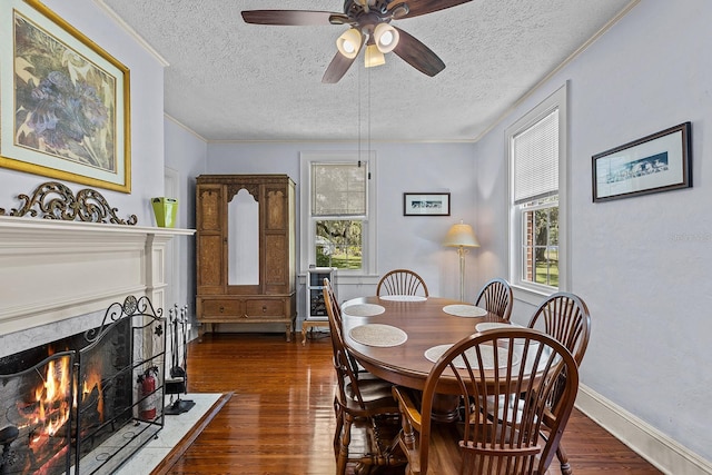 dining room featuring a textured ceiling, dark hardwood / wood-style floors, and plenty of natural light