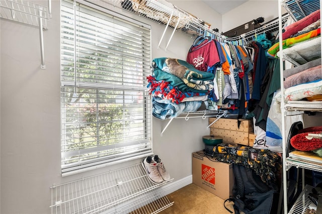 spacious closet with carpet floors