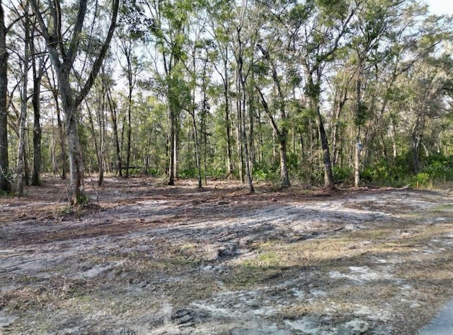 540 NE 558th St, Old Town FL, 32680 land for sale