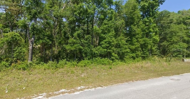 540 NE 558th St, Old Town FL, 32680 land for sale