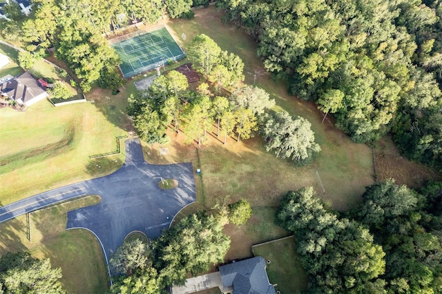 6225 NW 105th Ave, Alachua, FL 32615 - bird's eye view