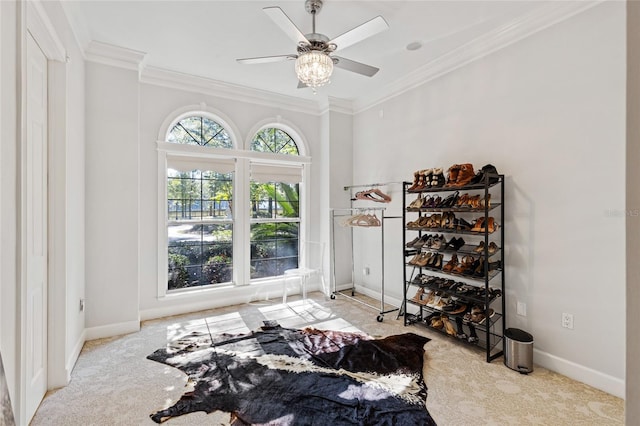 interior space featuring ornamental molding and ceiling fan