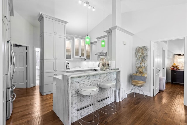 10000 SW 52nd Ave Unit 164, Gainesville, FL 32608 - kitchen featuring high vaulted ceiling, dark wood-style floors, glass insert cabinets, a peninsula, and light stone counters