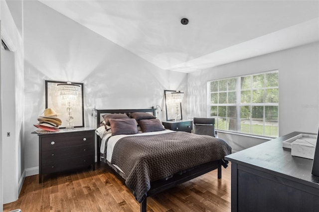 bedroom featuring dark wood-type flooring