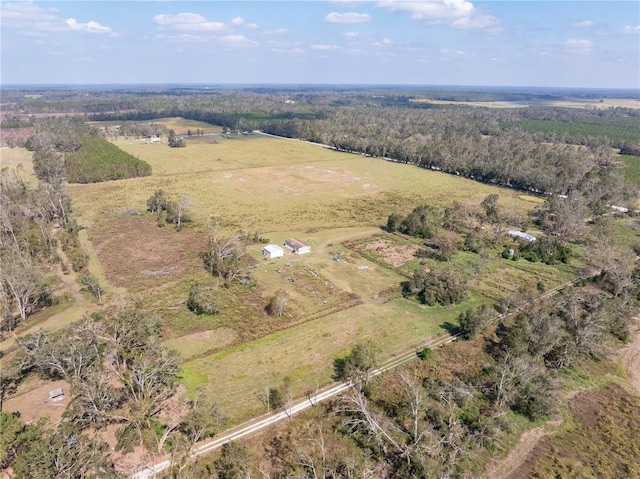 TBD 167th Rd, Live Oak FL, 32060 land for sale