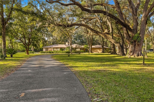 exterior space featuring a lawn