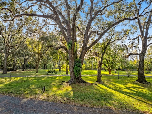 view of home's community with a yard