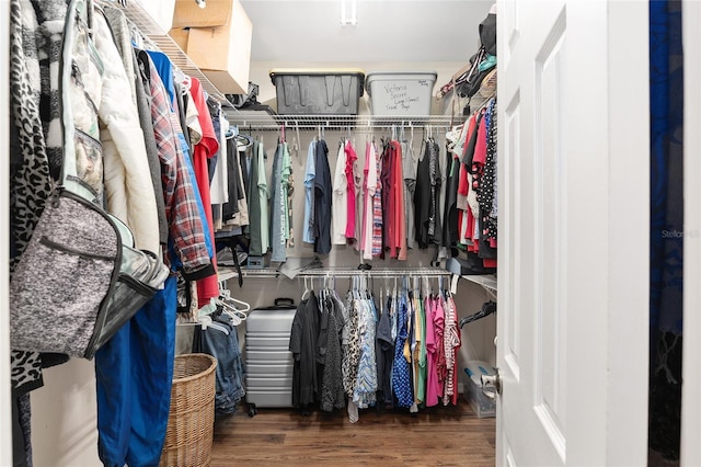 walk in closet featuring dark hardwood / wood-style flooring