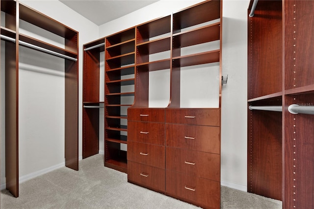 walk in closet featuring carpet floors