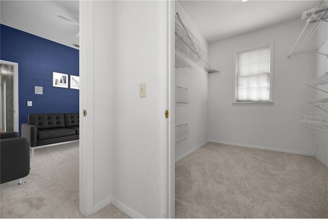 spacious closet with carpet