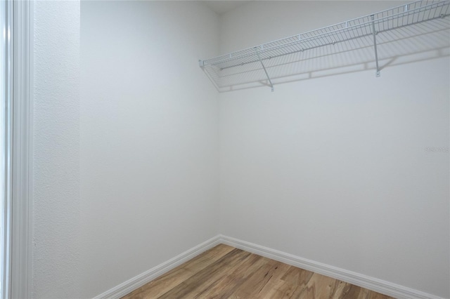 walk in closet with wood-type flooring