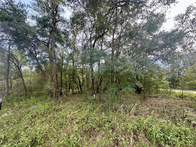 Listing photo 3 for TBD NE 136th Ter, Williston FL 32696