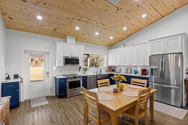 kitchen with plenty of natural light, blue cabinetry, white cabinets, and stainless steel appliances