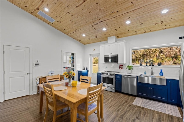 kitchen with stainless steel appliances, blue cabinetry, dark hardwood / wood-style floors, and sink