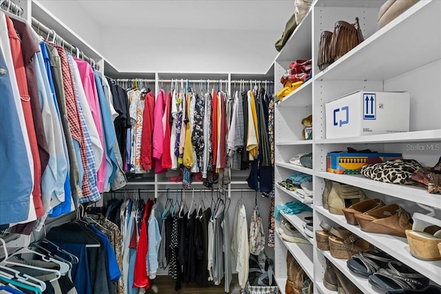 view of spacious closet