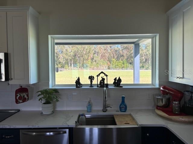 kitchen with white cabinetry, a healthy amount of sunlight, and stainless steel dishwasher