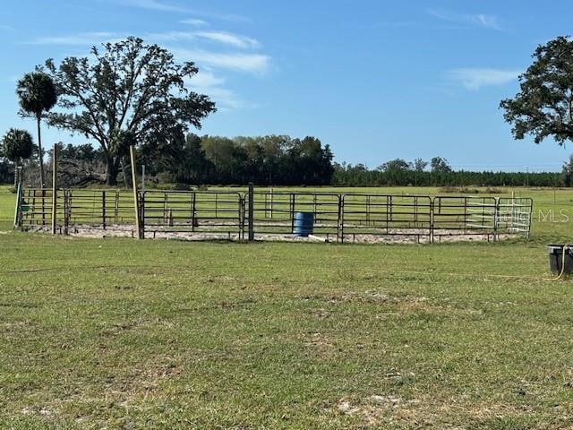 view of yard featuring a rural view