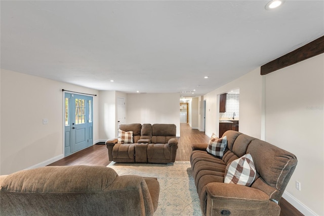 living room with wood-type flooring and sink