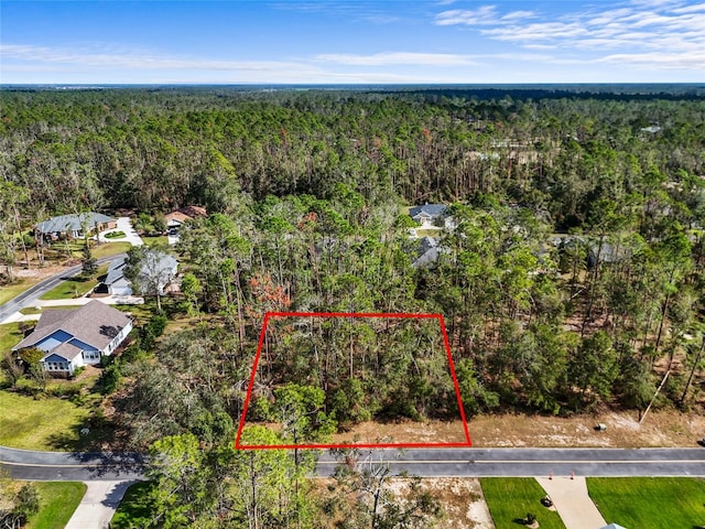 Listing photo 3 for TBD Wildwood Dr, Live Oak FL 32060