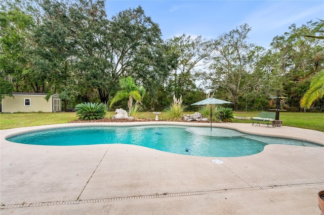 view of pool with a shed, a patio, and a yard