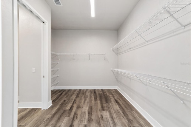 walk in closet featuring dark hardwood / wood-style flooring